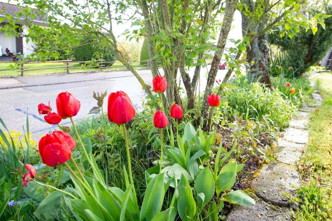 Schoene Und Helle Ferienwohnung In Pfaffenweiler Villingen-Schwenningen Zewnętrze zdjęcie
